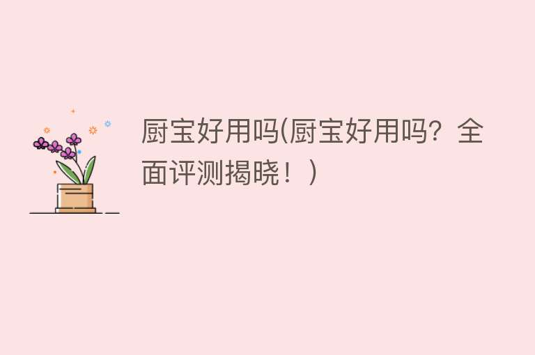 厨宝好用吗(厨宝好用吗?全面评测揭晓!) 厨宝好用吗(厨宝好用吗?全面评测揭晓!)