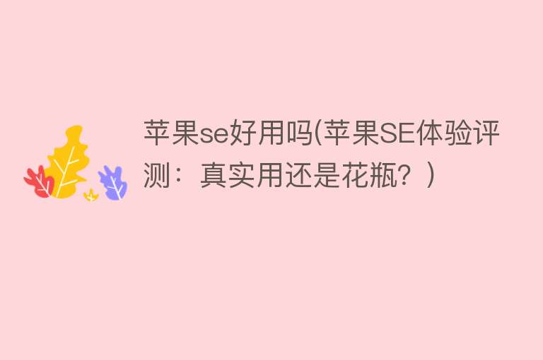 苹果se好用吗(苹果SE体验评测:真实用还是花瓶?) 苹果se好用吗(苹果SE体验评测:真实用还是花瓶?)