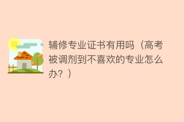 辅修专业证书有用吗（高考被调剂到不喜欢的专业怎么办？）