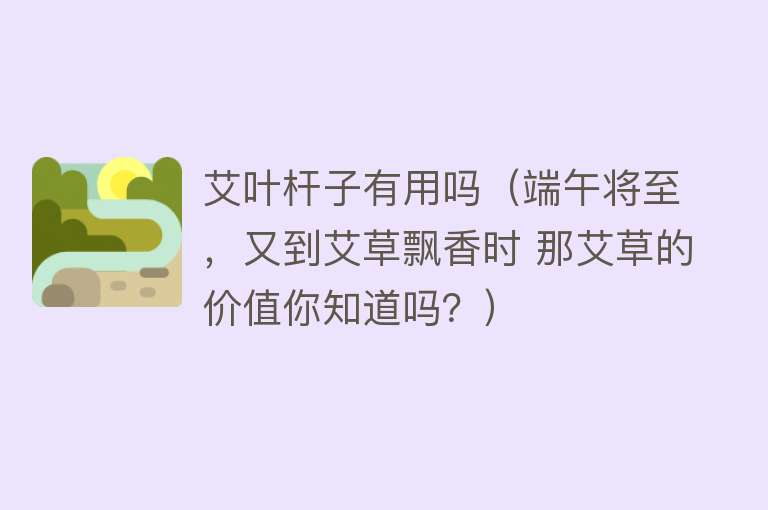 艾叶杆子有用吗(端午将至,又到艾草飘香时 那艾草的价值你知道吗?) 艾叶杆子有用吗(端午将至,又到艾草飘香时 那艾草的价值你知道吗?)