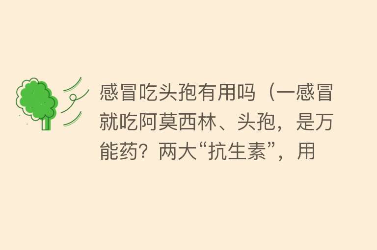 感冒吃头孢有用吗（一感冒就吃阿莫西林、头孢，是万能药？两大“抗生素”，用错是毒）
