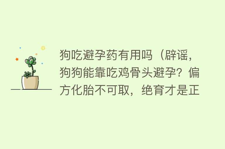 狗吃避孕药有用吗（辟谣，狗狗能靠吃鸡骨头避孕？偏方化胎不可取，绝育才是正确途径）