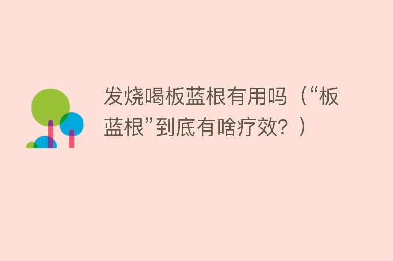 发烧喝板蓝根有用吗(“板蓝根”到底有啥疗效?) 发烧喝板蓝根有用吗(“板蓝根”到底有啥疗效?)