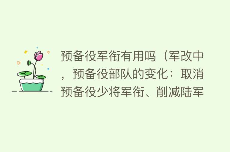预备役军衔有用吗(军改中,预备役部队的变化:取消预备役少将军衔、削减陆军预备役) 预备役军衔有用吗(军改中,预备役部队的变化:取消预备役少将军衔、削减陆军预备役)
