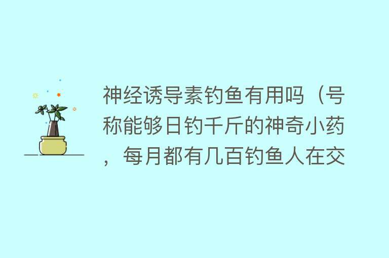 神经诱导素钓鱼有用吗（号称能够日钓千斤的神奇小药，每月都有几百钓鱼人在交智商税）