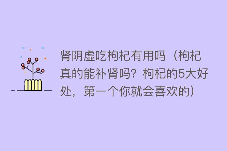 肾阴虚吃枸杞有用吗(枸杞真的能补肾吗?枸杞的5大好处,第一个你就会喜欢的) 肾阴虚吃枸杞有用吗(枸杞真的能补肾吗?枸杞的5大好处,第一个你就会喜欢的)