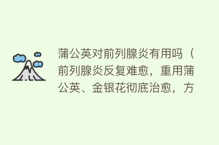蒲公英对前列腺炎有用吗（前列腺炎反复难愈，重用蒲公英、金银花彻底治愈，方子平淡见奇效）