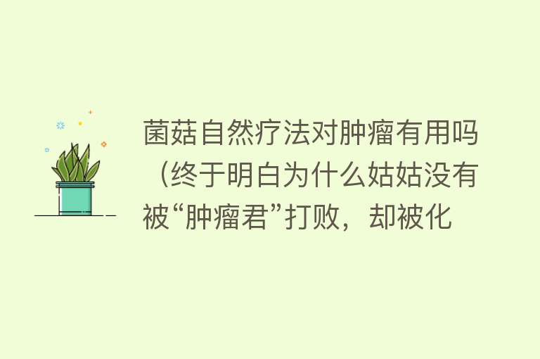菌菇自然疗法对肿瘤有用吗（终于明白为什么姑姑没有被“肿瘤君”打败，却被化疗绞杀了求生欲）
