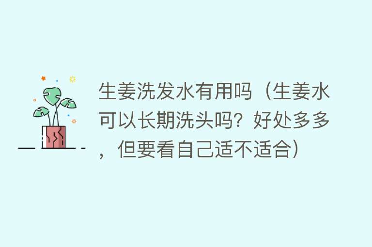 生姜洗发水有用吗(生姜水可以长期洗头吗?好处多多,但要看自己适不适合) 生姜洗发水有用吗(生姜水可以长期洗头吗?好处多多,但要看自己适不适合)