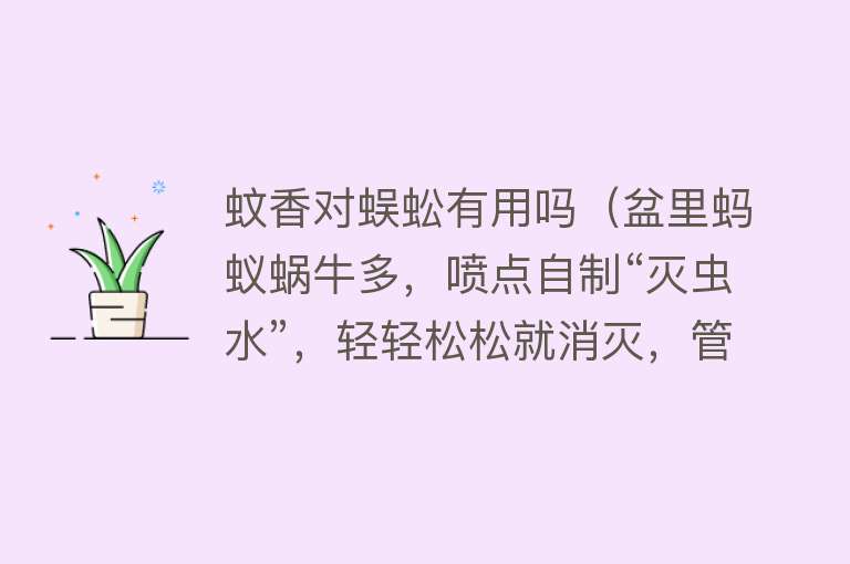 蚊香对蜈蚣有用吗（盆里蚂蚁蜗牛多，喷点自制“灭虫水”，轻轻松松就消灭，管用）
