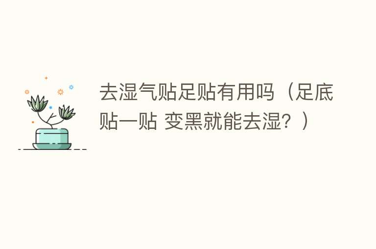 去湿气贴足贴有用吗（足底贴一贴 变黑就能去湿？）