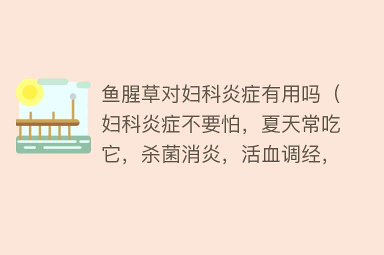 鱼腥草对妇科炎症有用吗(妇科炎症不要怕,夏天常吃它,杀菌消炎,活血调经,预防宫颈癌) 鱼腥草对妇科炎症有用吗(妇科炎症不要怕,夏天常吃它,杀菌消炎,活血调经,预防宫颈癌)