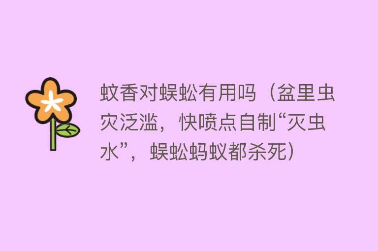 蚊香对蜈蚣有用吗（盆里虫灾泛滥，快喷点自制“灭虫水”，蜈蚣蚂蚁都杀死）