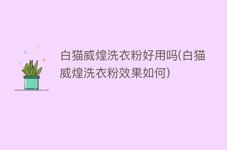 白猫威煌洗衣粉好用吗(白猫威煌洗衣粉效果如何) 白猫威煌洗衣粉好用吗(白猫威煌洗衣粉效果如何)