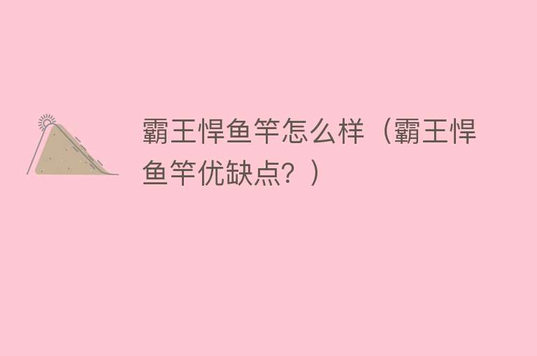 霸王悍鱼竿怎么样（霸王悍鱼竿优缺点？） 