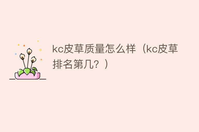 kc皮草质量怎么样(kc皮草排名第几?) kc皮草质量怎么样(kc皮草排名第几?)
