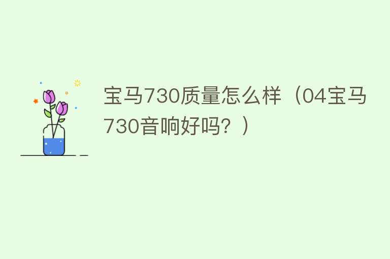 宝马730质量怎么样(04宝马730音响好吗?) 宝马730质量怎么样(04宝马730音响好吗?)