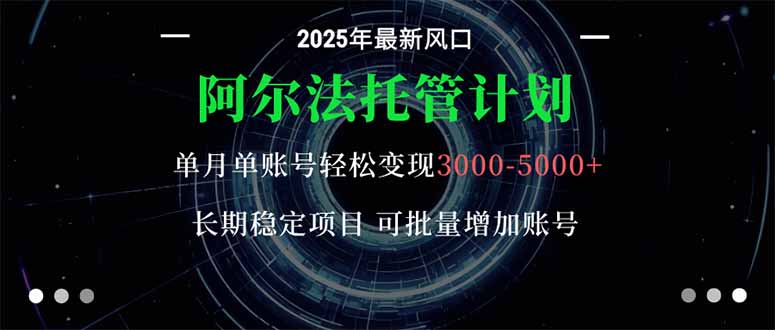 阿尔法托管计划 单账号月入3000-5000，长期稳定项目，新手小白轻松上手。-紫橙资源网
