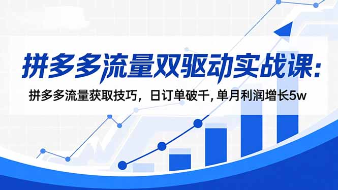 【中创网】拼多多流量双驱动实战课：拼多多流量获取技巧，日订单破千,单月利润增长5w - 紫橙资源网