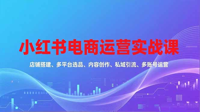 小红书电商运营实战课，店铺搭建、多平台选品、内容创作、私域引流、多账号运营等玩法-紫橙资源网