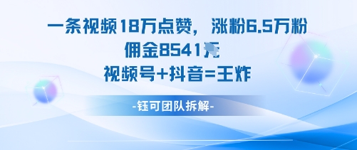 一条视频18W点赞，涨粉6.5W粉佣金8541米，视频号+抖音=王炸-紫橙资源网