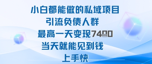 2025年小白都能做的私域项目引流负债人群最高一天变现1k+高变现难度低当天就能见到钱上手快-紫橙资源网