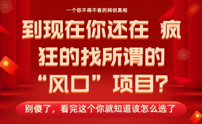 马上26年了，你还在找所谓的风口项目？别傻了，看完这个你全都懂了！-紫橙资源网