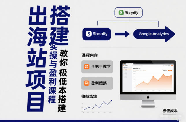 小淘出海站项目，搭建实操与盈利课程，手把手教你用极低成本搭建-紫橙资源网