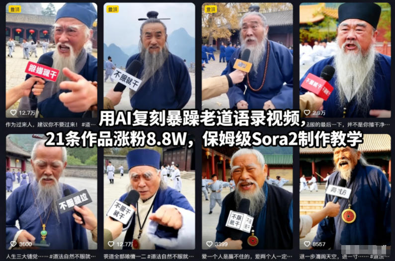 用AI复刻暴躁老道语录视频，21条作品涨粉8.8W，保姆级Sora2制作教学-紫橙资源网