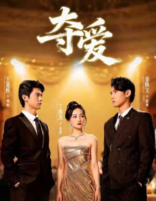 夺爱（55集全）丁俊杰＆姜焕文-紫橙资源网