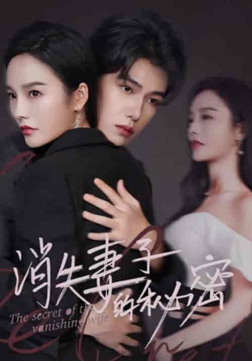 消失妻子的秘密（60）李胜楠【短剧】 - 紫橙资源网