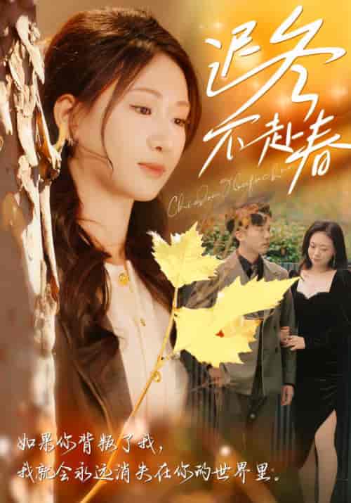 迟冬不赴春（56集全）冯思源＆张予湉【短剧】 - 紫橙资源网