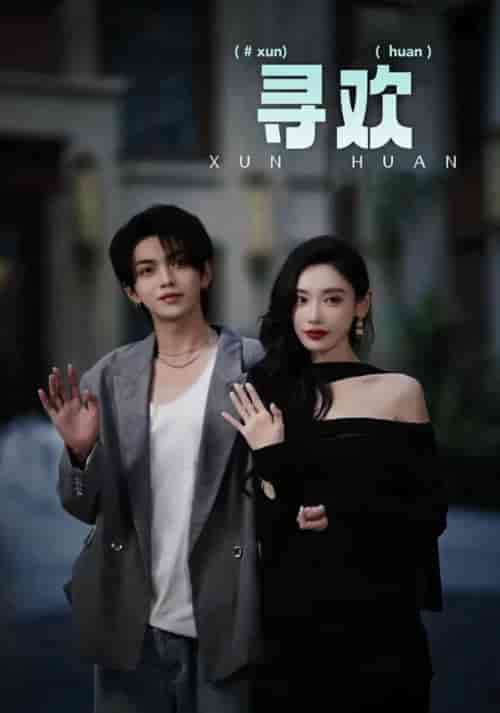 寻欢（52集全）叶皓然-紫橙资源网