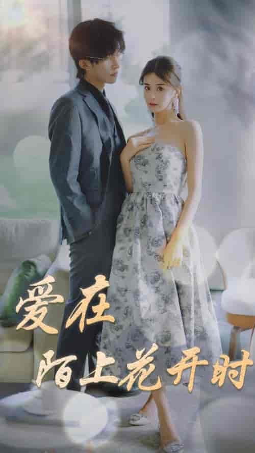 爱在陌上花开时（100集）-紫橙资源网