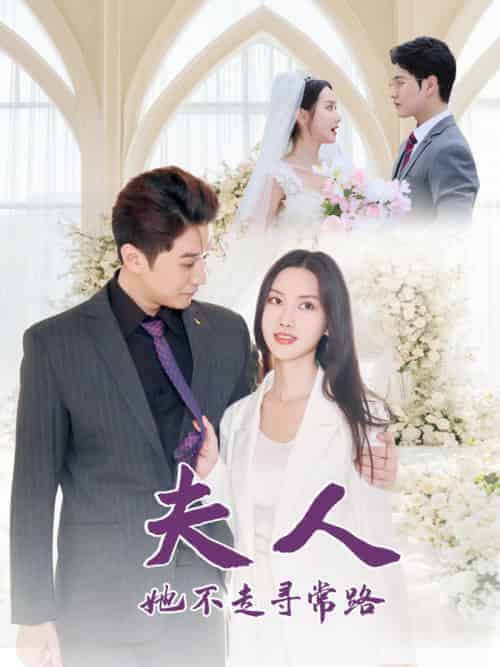 夫人她不走寻常路（40集全）刘家呈＆张珊珊-紫橙资源网