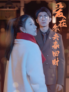 爱在冬去春回时（73集全）-紫橙资源网