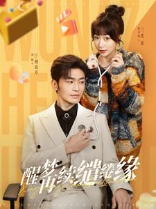 醒梦再续缱绻缘（100集全）周航＆陈诗敏-紫橙资源网