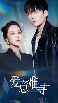 爱意难寻（40集全）杜培源＆钟莹玲-紫橙资源网