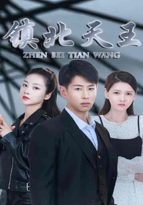 镇北天王（87集）-紫橙资源网