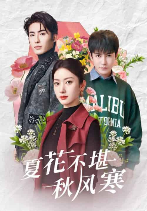 夏花不堪秋风寒（79集全）张玉娇＆李子峰-紫橙资源网