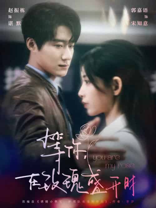 等你在玫瑰盛开时（80集）赵振栋＆郭嘉语-紫橙资源网