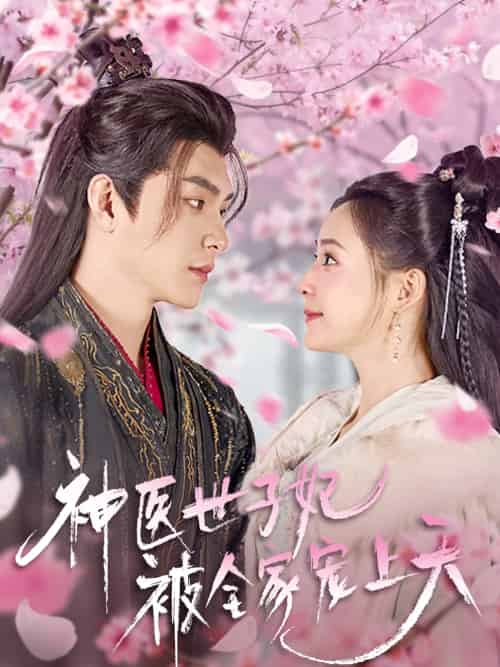 神医世子妃被全家宠上天（80集）王昱凯＆许丹-紫橙资源网