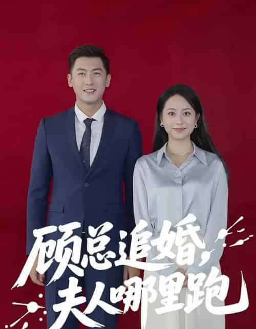 顾总追婚夫人哪里跑（100集）-紫橙资源网