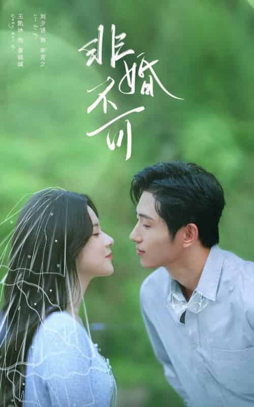 非婚不可（65集全）王凯沐＆刘夕语-紫橙资源网