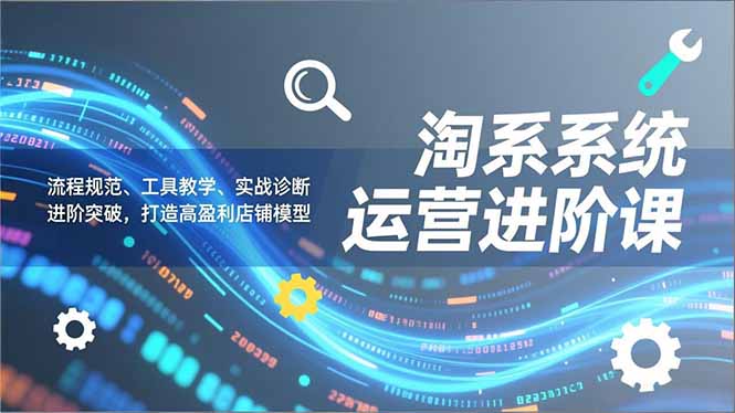 淘系系统运营进阶课2.0，流程规范、工具教学、实战诊断，进阶突破，打造高盈利店铺模型-紫橙资源网