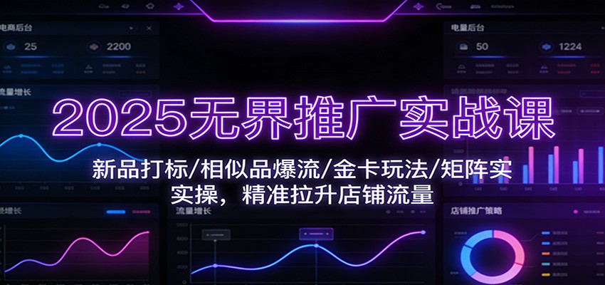 2025无界推广实战课：新品打标/相似品爆流/金卡玩法/矩阵实操，精准拉升店铺流量-紫橙资源网