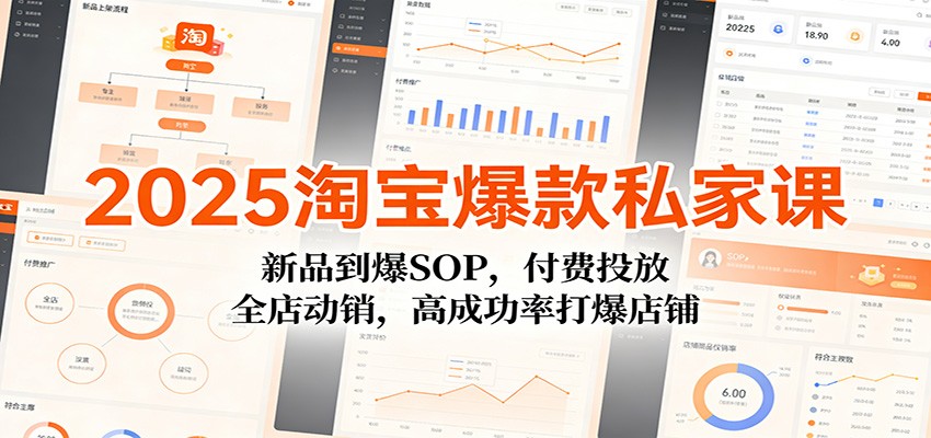 2025淘宝爆款私家课：新品到爆SOP，付费投放，全店动销，高成功率打爆店铺-紫橙资源网