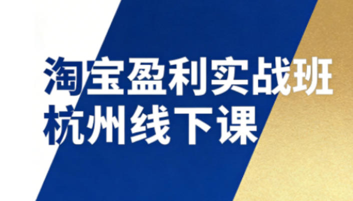 淘宝盈利实战班杭州线下课12月26-28日（音频+字幕），帮你掌握SOP流程+12门核心技术-紫橙资源网