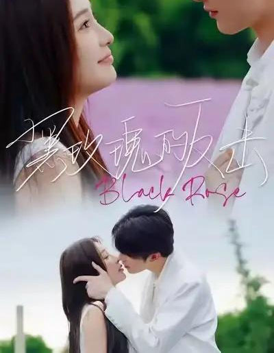 黑玫瑰的反击（47集全）裘哲夫＆焦娇-紫橙资源网